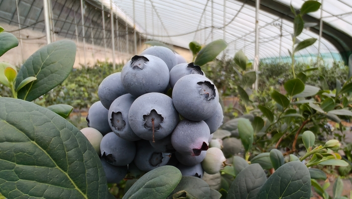 d:\Users\Administrator\Desktop\4.9\1aafac4086644ef4a23cadd8b27f565